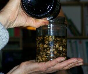 stage moutsi nov09 110